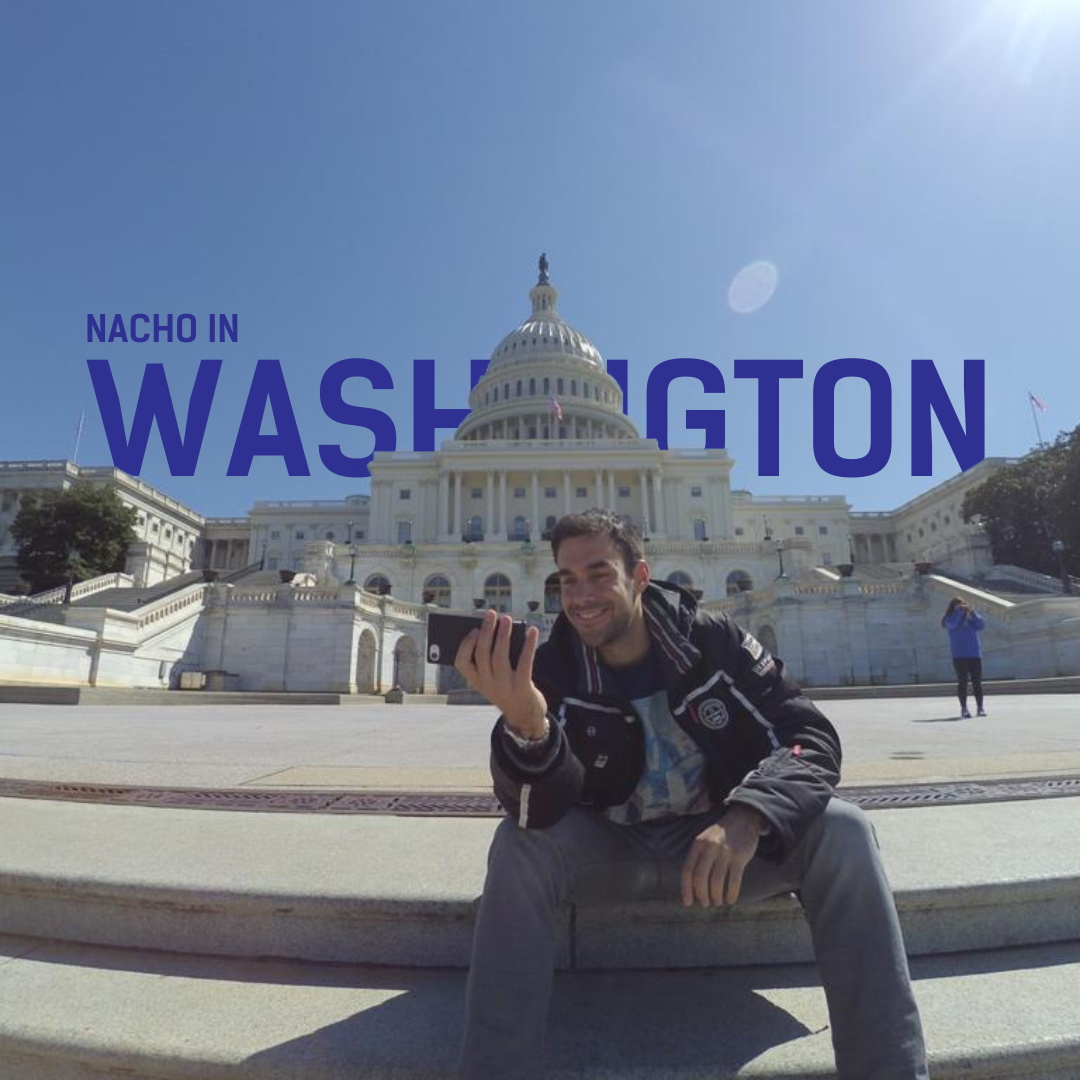 Nacho in Washington